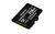 Kingston Technology 256GB micSDXC Canvas Select Plus 100R A1 C10 enkel pakket zonder ADP