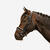 Horse & Pony Dressage Bridle 900 - Black/white - FS