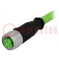 Connettore: M12; spina; PIN: 4; femmina; codice D-Ethernet; 2m