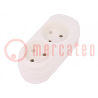 Connector: AC supply; female; splitter; 2P; 250VAC; 16A; Type: round