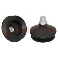 Suction cup; 53mm; G1/4 AG; Shore hardness: 55; 26.488cm3; FSGA