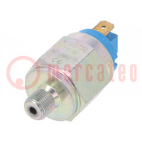 Module: pressure switch; relative pressure; OUT 1: NC; DS-4000-EU