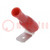 Konektor: płaski; 6,3mm; 0,8mm; żeński/męski; 0,5÷1,5mm2; czerwony