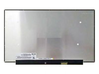 CoreParts MSC156F40-319G ricambio per laptop Display