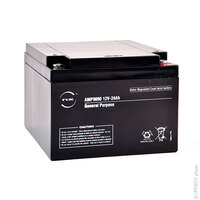 Batterie(s) Batterie plomb AGM NX 24-12 General Purpose 12V 24Ah M5-F