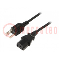 Câble; 3x0,75mm2; IEC C13 femelle,NEMA 5-15 (B) prise; PVC; 1,8m