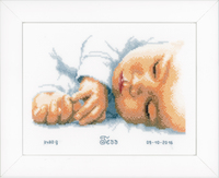 Counted Cross Stitch Kit: Birth Record: New-Born