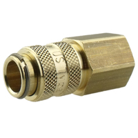 21KAIW10MPX Snelkoppeling Int.profiel G1/8" female