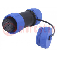 Plug; SP21; female; PIN: 12; with protective cap; IP68; 7÷12mm; 5A