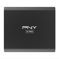 PNY X-Pro 1000 GB Schwarz