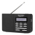 TechniSat DigitRadio 210 Portable Digital Black, Silver