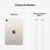 Apple iPad mini Wi-Fi + Cellular 512GB - Galassia