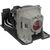 Projector Lamp for NEC 230 Watt, 2000 Hours fit for NEC NP110, NP115, NP210, NP215, NP216, V230X, V260, V260W, V260X Lampen