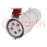 Connector: AC supply 3-phase; plug; female; 16A; 400VAC; IEC 60309
