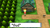 GAME Pokémon Leuchtende Perle Standard Deutsch, Englisch, Spanisch, Französisch, Italienisch Nintendo Switch