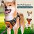 BLUZELLE Dog Harness for Medium Dogs, Reflective Dog Vest Padded Pet Coat, Adjustable Chest Harness with Training Handle & Pocket for GPS Tracker Tag, No Pull Anti Pull Harness,...