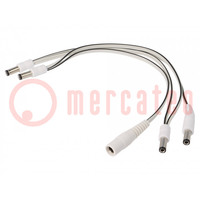 Cable; 2x0.5mm2; DC 5,5/2,1 plug x4,DC 5,5/2,5 socket; straight