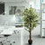Kunstpflanze / Kunstbaum FICUS Kunststoff grün hjh OFFICE