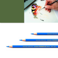 Artexport ME7610186843525 Buntstift Grün