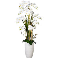 Arrangement floral de phalaenopsis