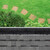 10 x Dachrinnenbürste in Schwarz - (L)100 x Ø 12 cm 10041413_0