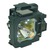 EIKI LC-XG400L Module de lampe de projecteur (ampoule compatible à l'int&