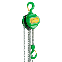 Delta DC.0.08100506 Handkettingtakel - 0.5 ton - 6 meter