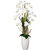 Phalaenopsis arrangement