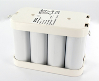 Pack(s) Batterie eclairage secours 4VR7FL-2 4.8V 16Ah
