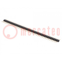 Pin header; pin strips; male; PIN: 40; straight; 2mm; THT; 1x40