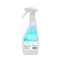2Work 2W04579 all-purpose cleaner