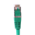 Uniformatic 23219 câble de réseau Vert 0,3 m Cat6 F/UTP (FTP)