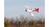 MULTIPLEX RR RaceWulf radiografisch bestuurbaar model Vliegtuig Elektromotor