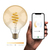 Hombli HBEB-0312 Smart Lighting Intelligentes Leuchtmittel 5,5 W Gold WLAN