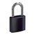BASI 6190-4000-SCHW padlock Conventional padlock 1 pc(s)
