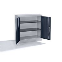 Steel cupboard with hinged doors