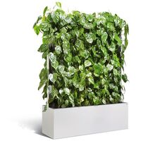 Mobile hedge element with philodendron