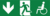 Notausgang-Schild - Grün, 20 x 65 cm, Aluminium, Für außen und innen, Weiß