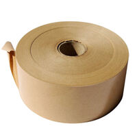 Gum side in paper tape - standard 60gsm 70mmx200m - pack of 16