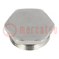Protection cap; Thread: PG16; Spanner: 24mm