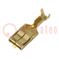 Terminal: flat; 6.3mm; 0.8mm; female; 0.3÷1mm2; crimped; for cable