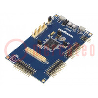 Dev.kit: Microchip ARM; Components: SAM4LC8CA; SAM4L