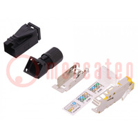 Spina; RJ45; PIN: 8; Cat: 6; schermate; Posizione: 8p8c; 27AWG÷22AWG