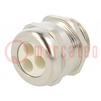Cable gland; multi-hole; M25; 1.5; IP65; brass; Holes no: 3; 7mm