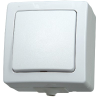 Kopp 565702005 light switch White