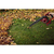 Toolcraft TO-6448053 aspiradora de hojas 228,6 kmh Negro, Rojo