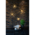 Star Trading Hanging Decoration Firework Leichte Dekorationsfigur 80 Glühbirne(n) LED