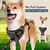 BLUZELLE Dog Harness for Small Dogs, Reflective Dog Vest Padded Pet Coat, Adjustable Chest Harness with Training Handle & Pocket for GPS Tracker Tag, No Pull Anti Pull Harness, ...