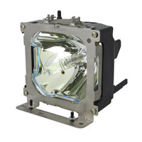 LIESEGANG DV 8102 Projector Lamp Module (Original Bulb Inside)