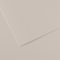 Carta Colorata Mi-Teintes Canson - A4 - 160 g - C31032S009 (Grigio Perla Conf. 2